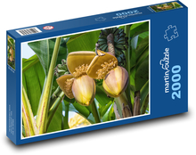 Banánovník Puzzle 2000 dielikov - 90 x 60 cm