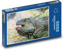 Iguana - lizard Puzzle 2000 pieces - 90 x 60 cm