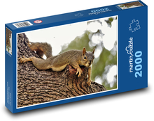 Braunhörnchen Puzzle 2000 Teile - 90 x 60 cm