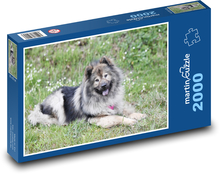 Pes - Eurasier Puzzle 2000 dielikov - 90 x 60 cm