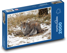 Rys - predátor Puzzle 2000 dielikov - 90 x 60 cm