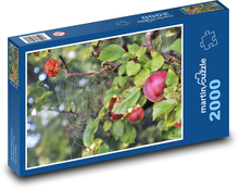 Apple Cobweb Puzzle 2000 pieces - 90 x 60 cm