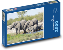Stádo slonů Puzzle 2000 dílků - 90 x 60 cm