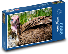 Geier Puzzle 2000 Teile - 90 x 60 cm