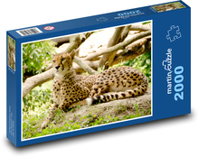 Gepard - Afryka Puzzle 2000 elementów - 90x60 cm