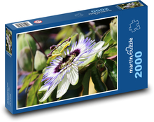 Mučenka - květina Puzzle 2000 dílků - 90 x 60 cm