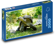 Riesenschildkröte Puzzle 2000 Teile - 90 x 60 cm
