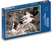 Pelikany - ptaki Puzzle 2000 elementów - 90x60 cm