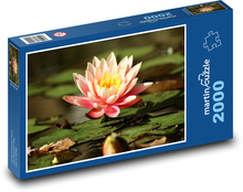 Lily of the Lake Puzzle 2000 pieces - 90 x 60 cm