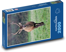 Jeleň Puzzle 2000 dielikov - 90 x 60 cm