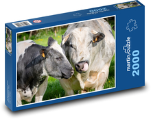 Krava - prežúvavce Puzzle 2000 dielikov - 90 x 60 cm