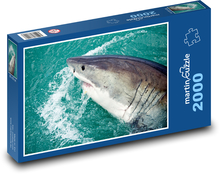Shark Puzzle 2000 pieces - 90 x 60 cm