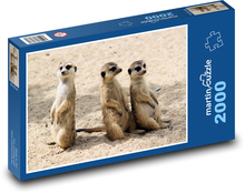 Meerkats Puzzle 2000 pieces - 90 x 60 cm