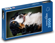 Bernský salašnícky pes Puzzle 2000 dielikov - 90 x 60 cm