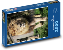 Lev Puzzle 2000 dielikov - 90 x 60 cm