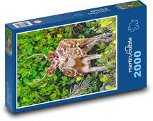 Hirsch Puzzle 2000 Teile - 90 x 60 cm