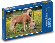 Horses - Pony Puzzle 2000 pieces - 90 x 60 cm