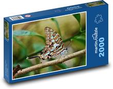 Butterfly - Insect Puzzle 2000 pieces - 90 x 60 cm