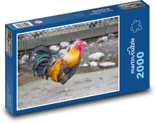 Farma - kohout Puzzle 2000 dílků - 90 x 60 cm