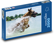 Pes - Belgický ovčiak Puzzle 2000 dielikov - 90 x 60 cm