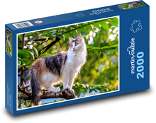 Domáce zviera - mačka na strome Puzzle 2000 dielikov - 90 x 60 cm