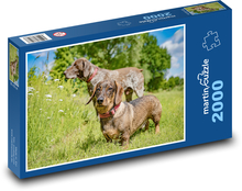 Langhaariger Dackel Puzzle 2000 Teile - 90 x 60 cm