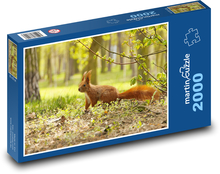 Eichhörnchen - Nagetier Puzzle 2000 Teile - 90 x 60 cm
