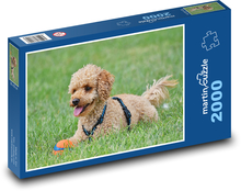 Pudel - Hund Puzzle 2000 Teile - 90 x 60 cm