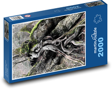Kmeň stromu - korene stromov Puzzle 2000 dielikov - 90 x 60 cm