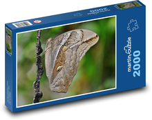 Motyl - owad Puzzle 2000 elementów - 90x60 cm