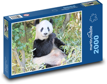 Panda Puzzle 2000 elementów - 90x60 cm