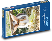 Domestic Rabbit Puzzle 2000 pieces - 90 x 60 cm
