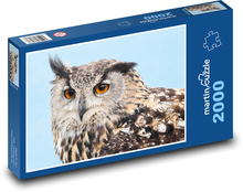 Owl Puzzle 2000 pieces - 90 x 60 cm