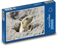 Černoocasý prérijní pes Puzzle 2000 dílků - 90 x 60 cm