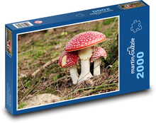 Mushrooms - Toadstool Puzzle 2000 pieces - 90 x 60 cm
