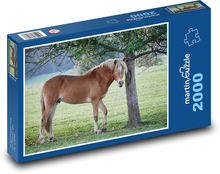 Hnědý kůň Puzzle 2000 dílků - 90 x 60 cm