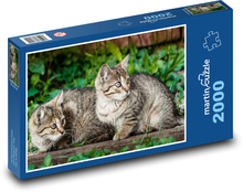 Cats - kittens Puzzle 2000 pieces - 90 x 60 cm