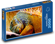 Leguán - plaz Puzzle 2000 dílků - 90 x 60 cm