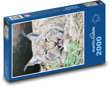 Ein Luchs. Puzzle 2000 Teile - 90 x 60 cm