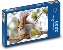 Eichhörnchen - Nagetier Puzzle 2000 Teile - 90 x 60 cm
