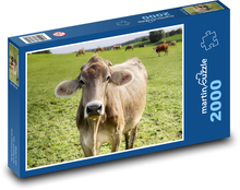 Cow - cattle Puzzle 2000 pieces - 90 x 60 cm
