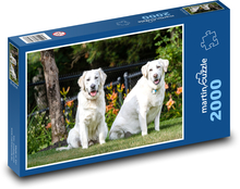 Labrador und Retriever Puzzle 2000 Teile - 90 x 60 cm