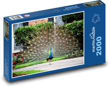 Pták - páv Puzzle 2000 dílků - 90 x 60 cm