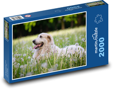 Louka - pes Puzzle 2000 dílků - 90 x 60 cm