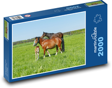 Herd of horses Puzzle 2000 pieces - 90 x 60 cm