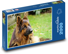 Schäferhund Puzzle 2000 Teile - 90 x 60 cm