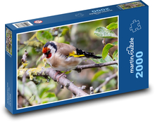 Vták - osten Puzzle 2000 dielikov - 90 x 60 cm