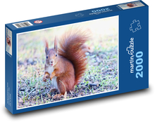 Zviera - veverička Puzzle 2000 dielikov - 90 x 60 cm