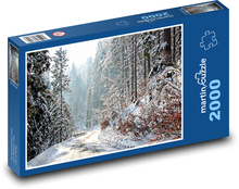 Winterreise Puzzle 2000 Teile - 90 x 60 cm
