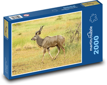 Divoká zver - antilopa Puzzle 2000 dielikov - 90 x 60 cm